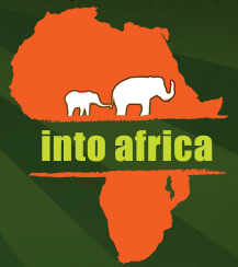 We hope you’ve saved the date, September 12, for P4P’s event of the year, Into Africa.