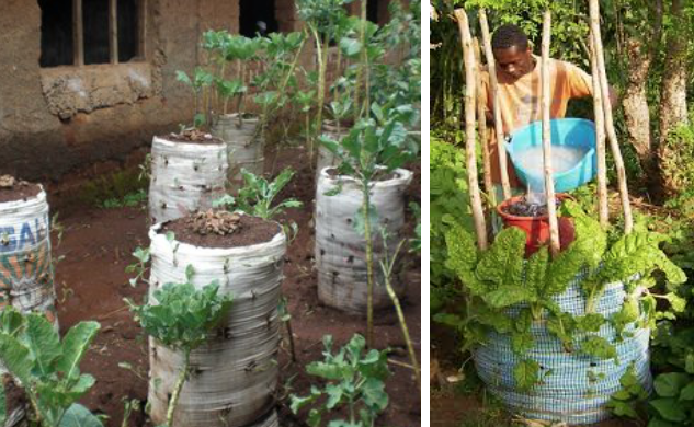 Vertical farming is an ancient agricultural practice that is having a modern-day moment. Using vertical space to cultivate vegetables allows farmers around the world to grow impressive harvests in compact spaces.