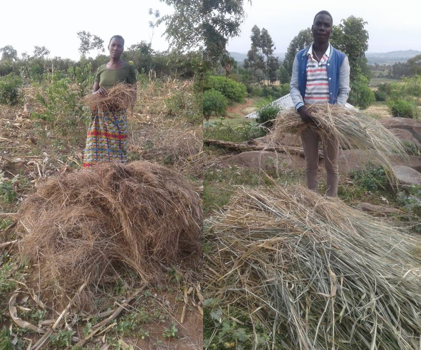 Mulch is gathered before new farmer training