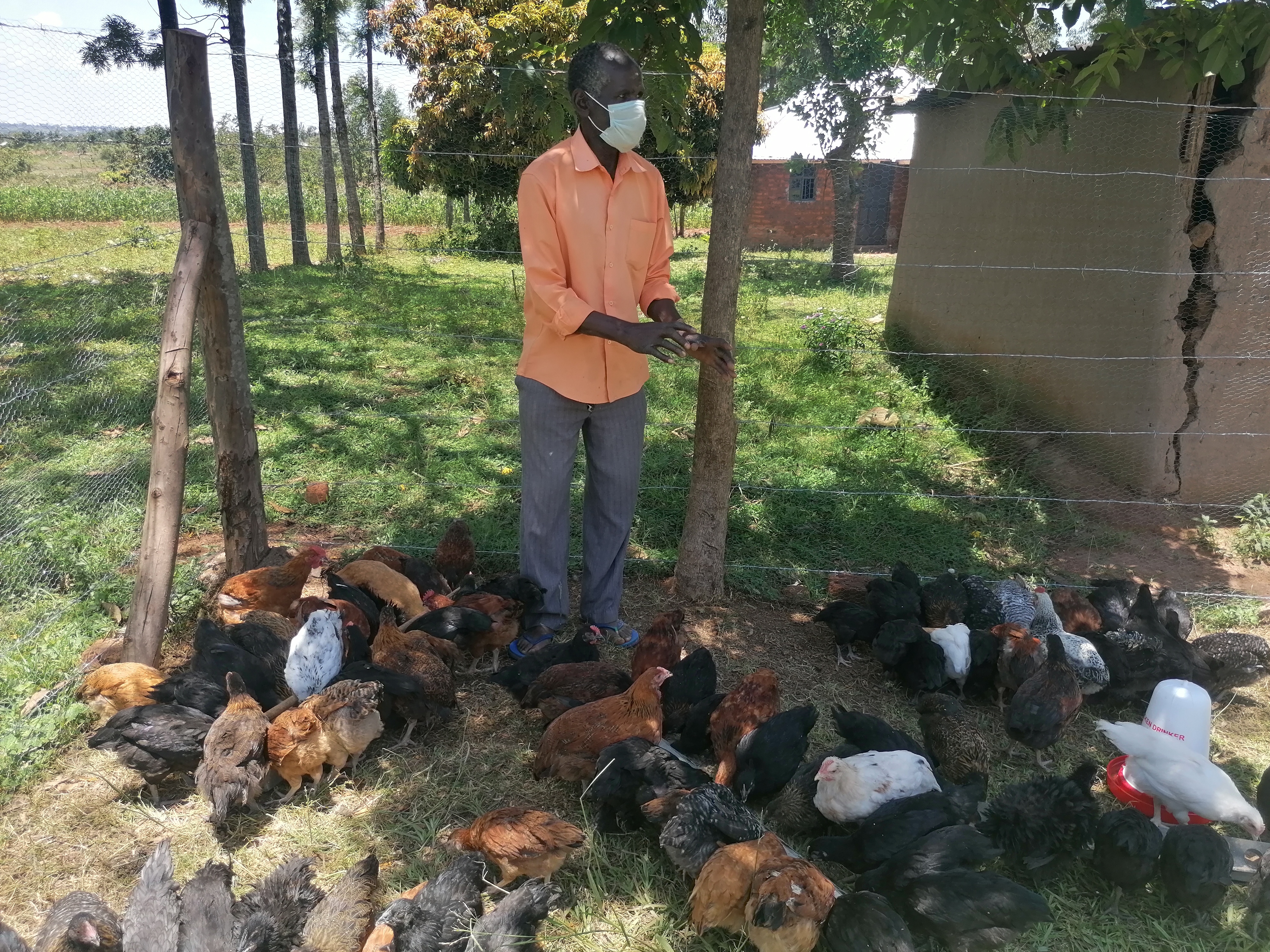 Tobias Nyamwanga participated in P4P's Pilot Poultry Project