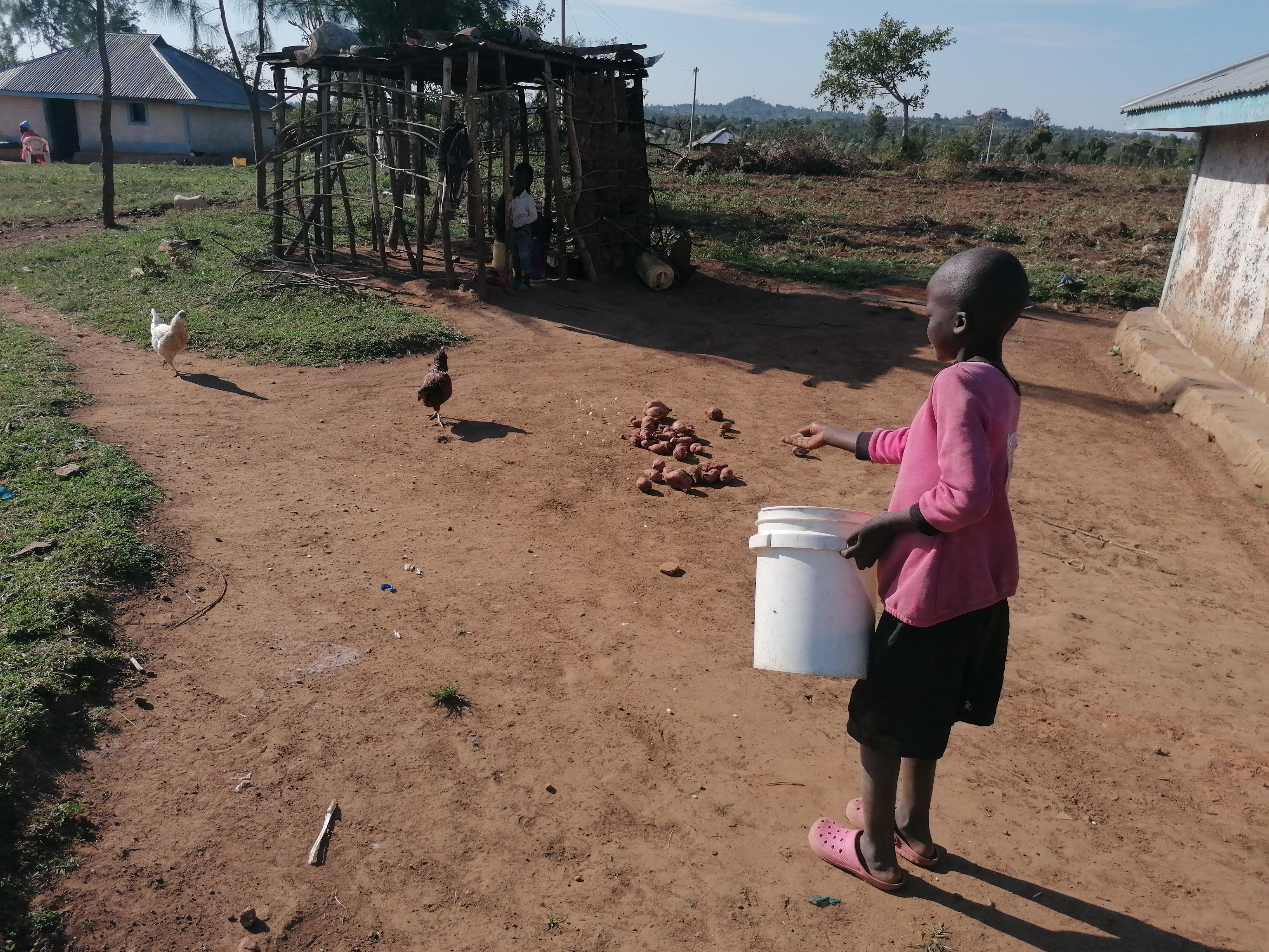 Elly is now eight years old and in the first grade at Magongo Ribe Primary School. Taking care of the chickens is his responsibility, and his mother proudly says her son is very good with animals.